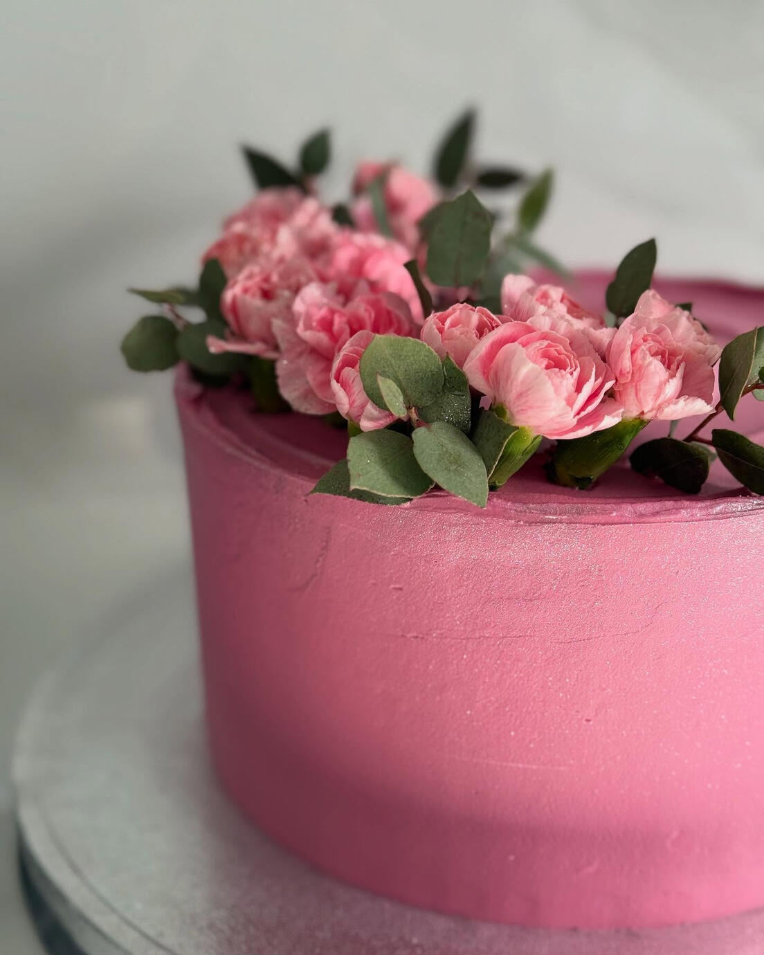 Efficitur faucibus vitae